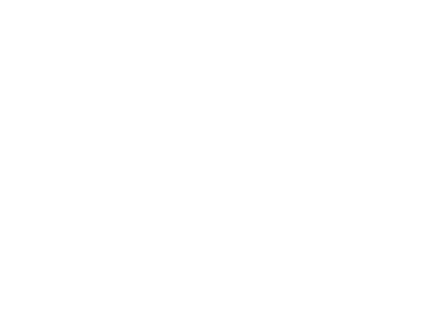 Novo Nordisk logo i hvid